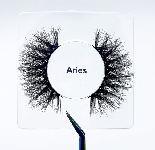 Aries ♈️