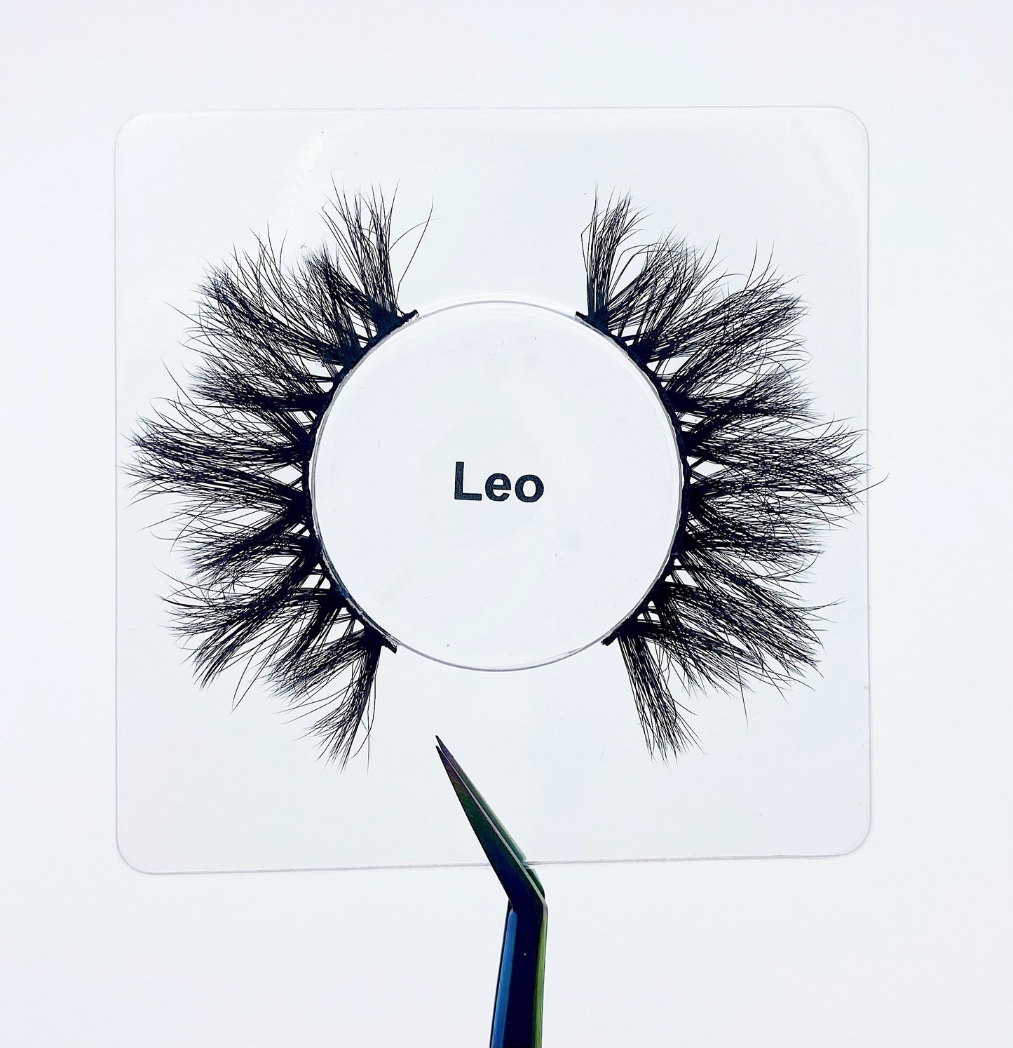 Leo ♌️