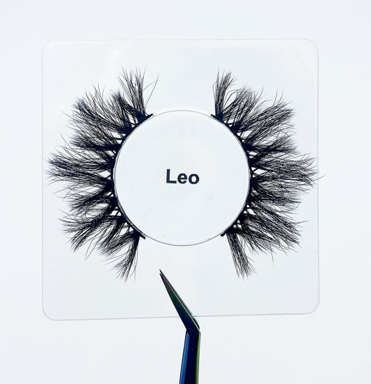 Leo ♌️