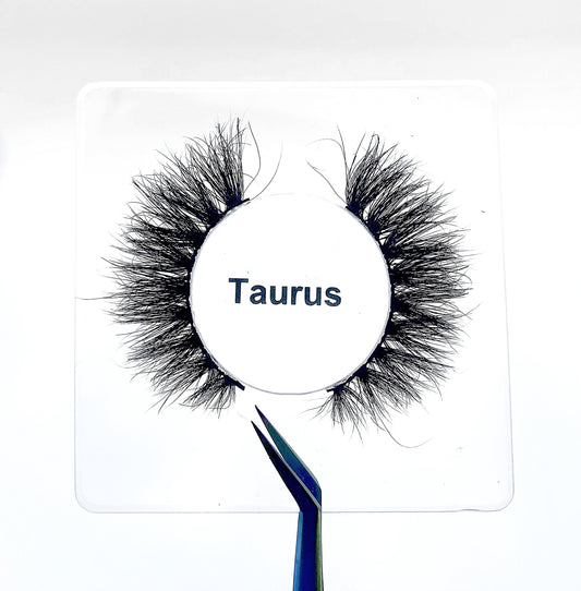 Taurus ♉️