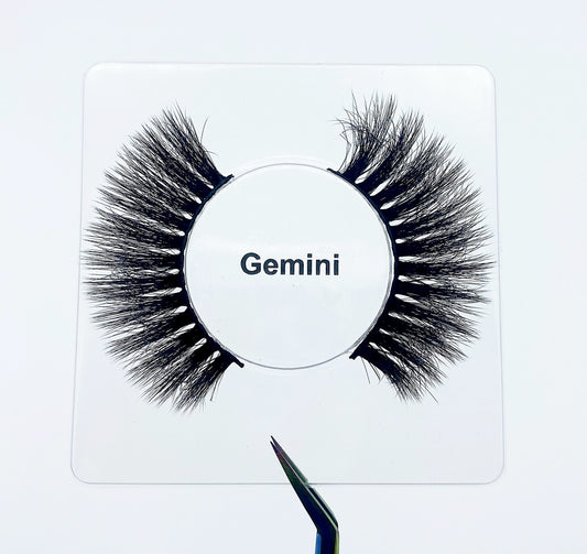 Gemini ♊️