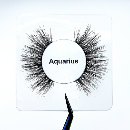 Aquarius ♒️